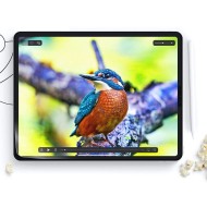 2 броя защитно фолио за дисплей на iPad Air 6 (11" 2024) от Hofi Paper Pro+ - Матов